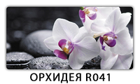 Стол Паук с фотопечатью